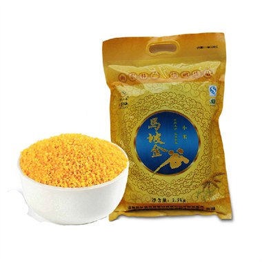 山东马坡金谷小米 12.5Kg  颗粒饱满 免淘洗 杂粮