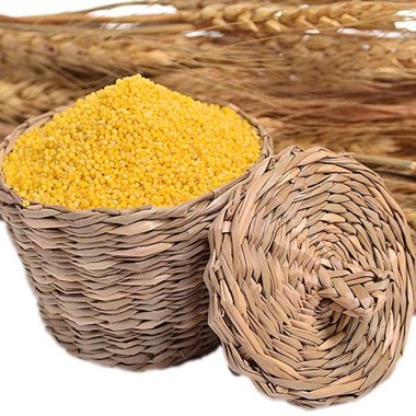山东马坡金谷小米 750g 颗粒饱满 免淘洗 杂粮