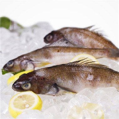 【皇港世家】南极冰鱼500g 鱼肉海鲜