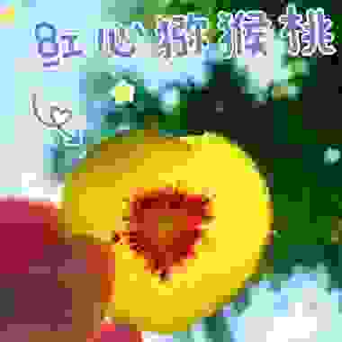 红心猕猴桃四川特产特级果20枚装